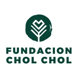 FundacionCholChollogo_verde